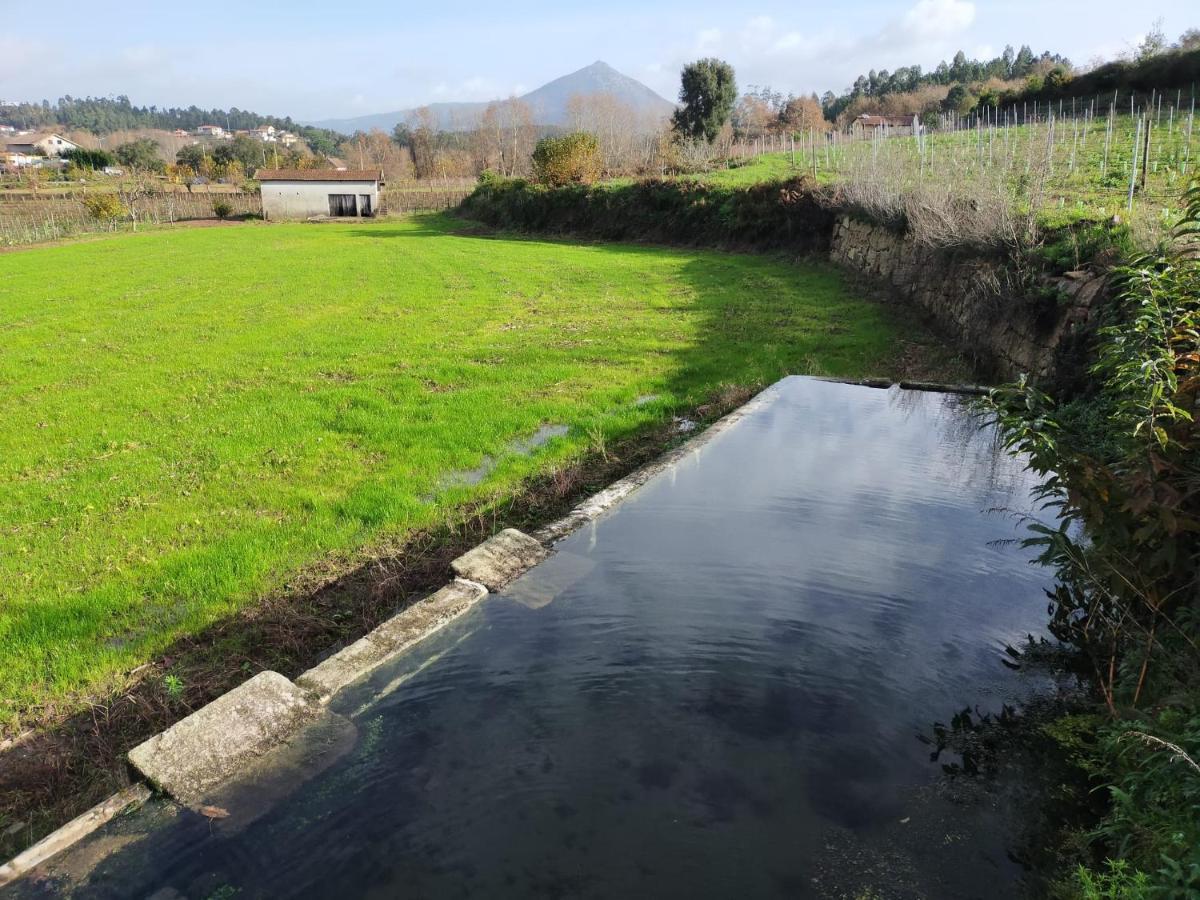Quinta Da Lage Agroturismo E Enoturismo Celorico De Basto Buitenkant foto