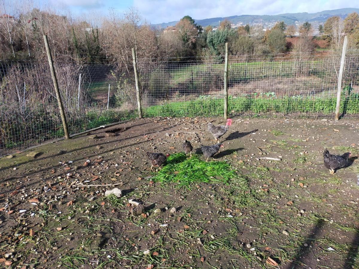 Quinta Da Lage Agroturismo E Enoturismo Celorico De Basto Buitenkant foto