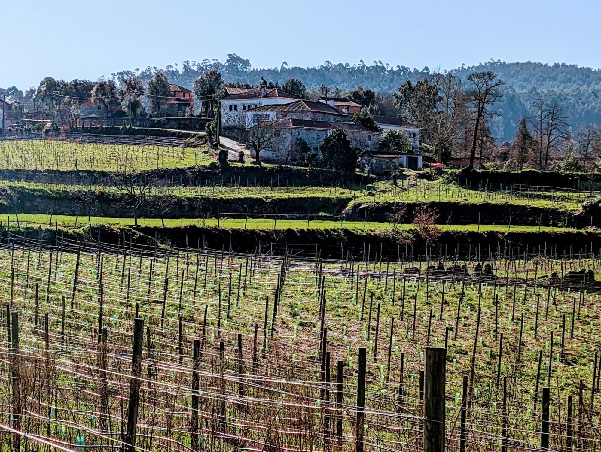 Quinta Da Lage Agroturismo E Enoturismo Celorico De Basto Buitenkant foto